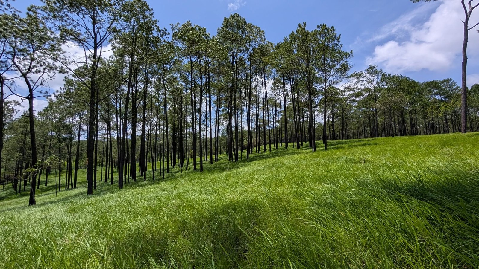 Kirirom National Park