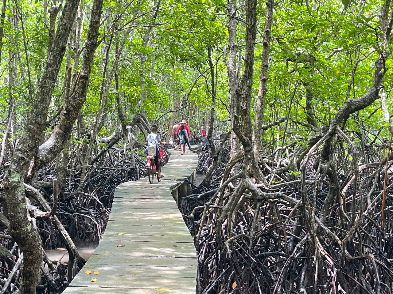 Sihanoukville Mangrove Full-Day Tour